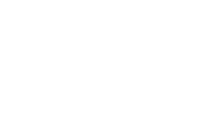 The Neighbor Lady